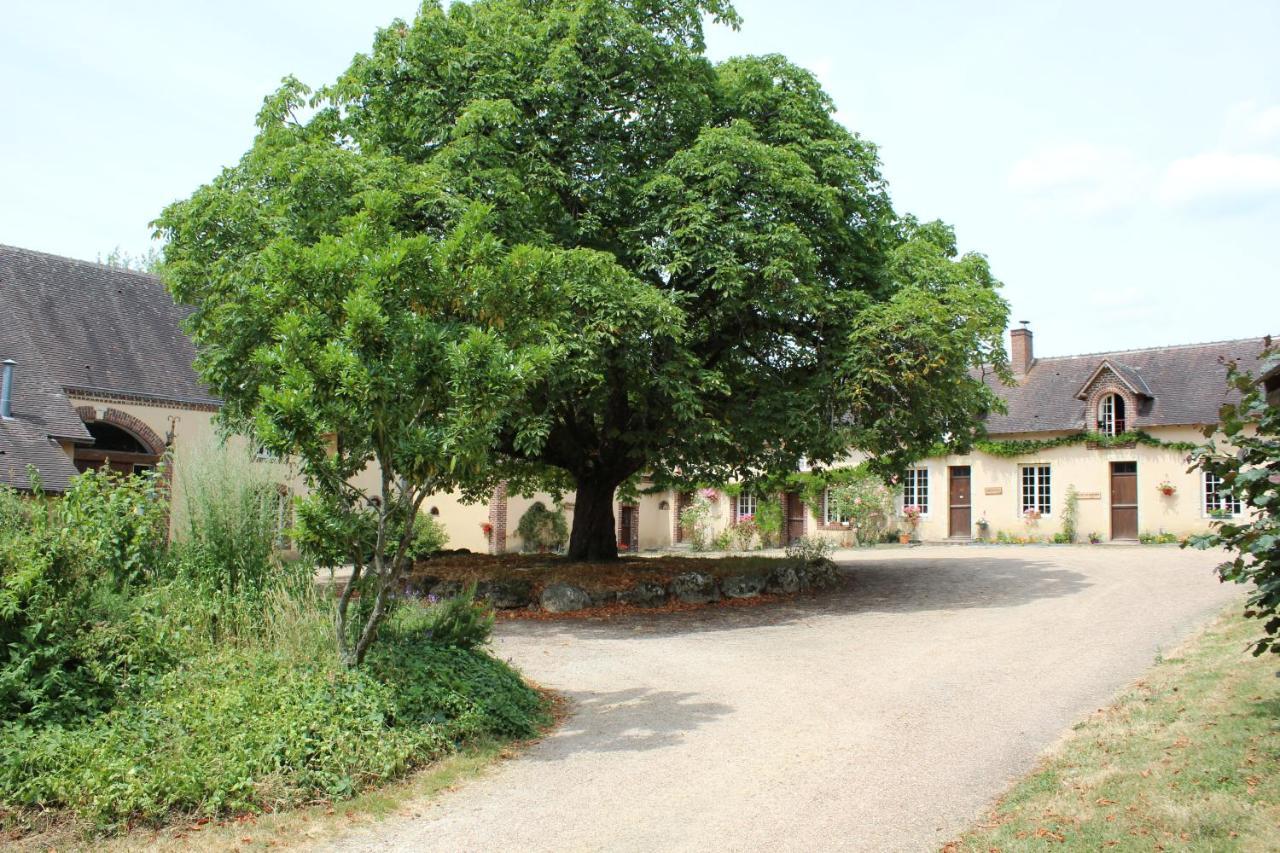 Gîte des Etangs de Beaulieu Le Plessis-Dorin Exterior foto