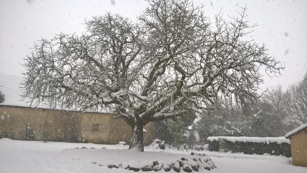 Gîte des Etangs de Beaulieu Le Plessis-Dorin Exterior foto