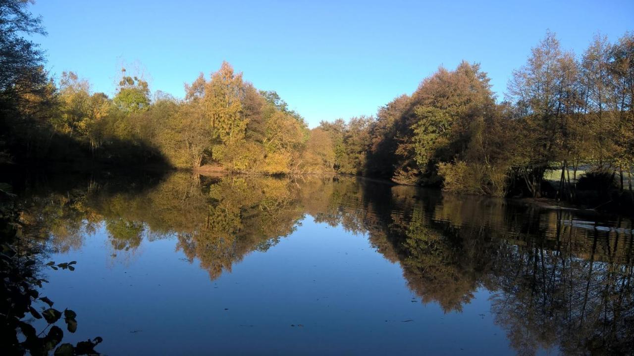 Gîte des Etangs de Beaulieu Le Plessis-Dorin Exterior foto